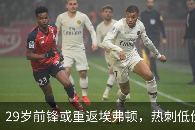 29岁前锋或重返埃弗顿，热刺低价出售引发关注